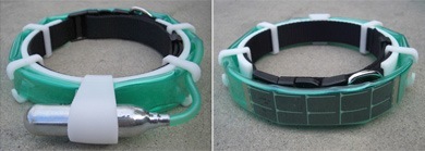 collar_side_back.jpg