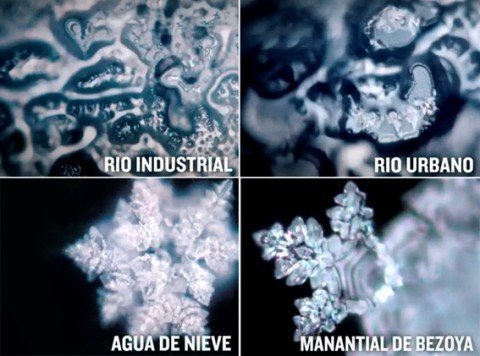 ENTREVISTA A MASARU EMOTO