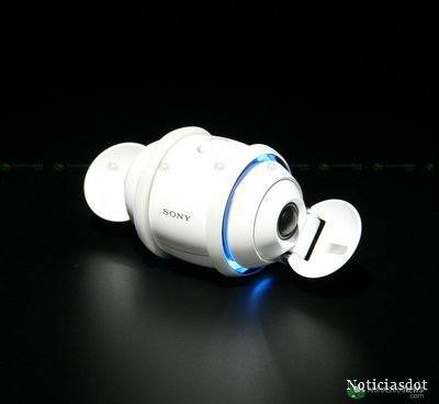 sony_rolly-01.jpg